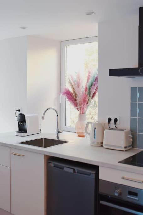 Appartement Aquaroom Rdc - Plage 50M - Rue Gratuite Saint-Malo Esterno foto